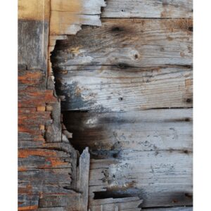 LAMINA DECOUPAGE LA40157S