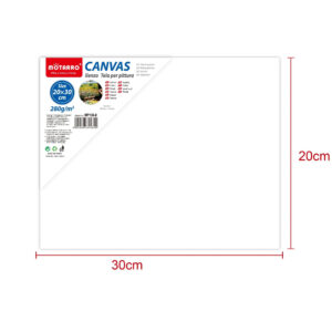 Lienzo Blanco 20x30