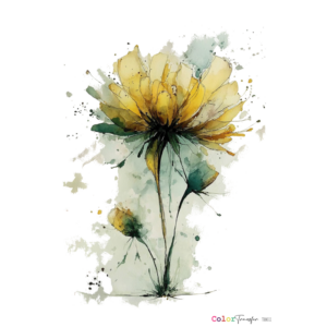 TRANSFER TRM011 27X21 CM