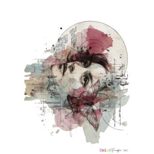 TRANSFER TRM001 27X21 CM